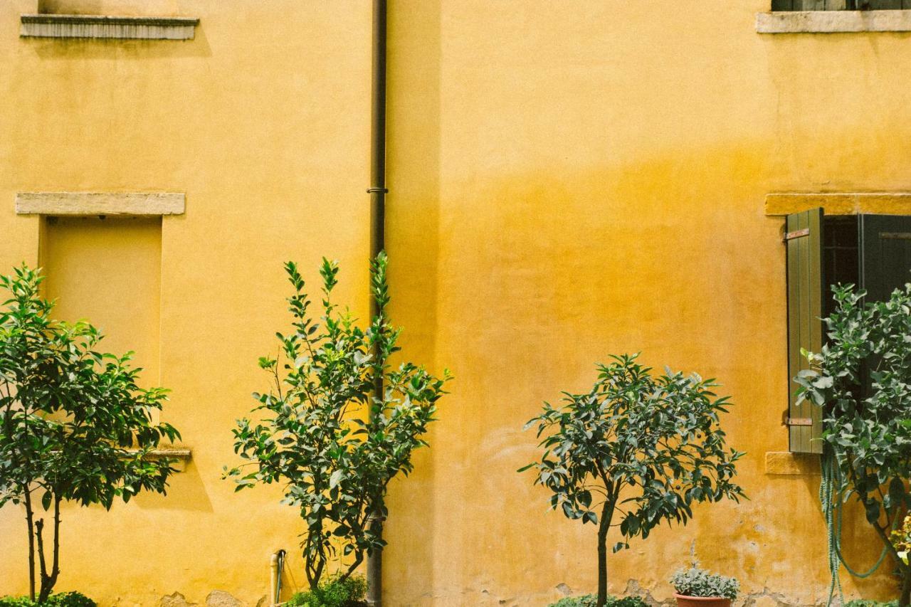 Villa Fava 몬타냐냐 외부 사진